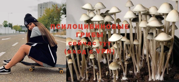 гашик Верхнеуральск